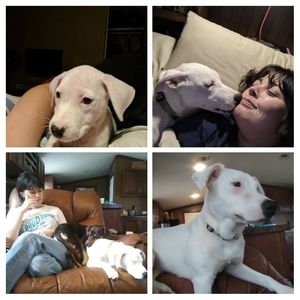 Meet your Posher, Meagen